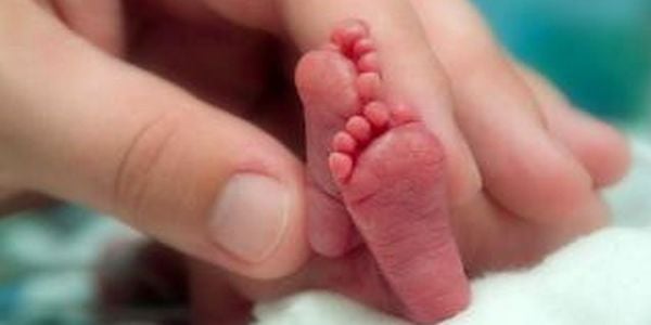 Feet of premature baby