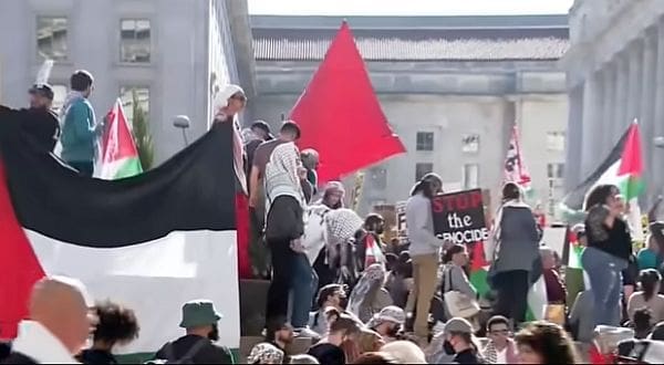 Pro-Palestinian protesters at White House (video screenshot)