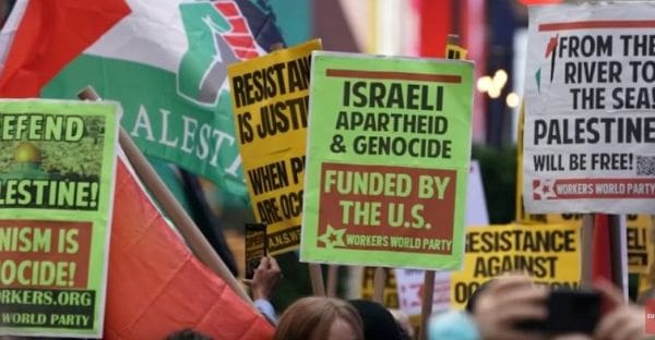Pro-Palestinian protesters
